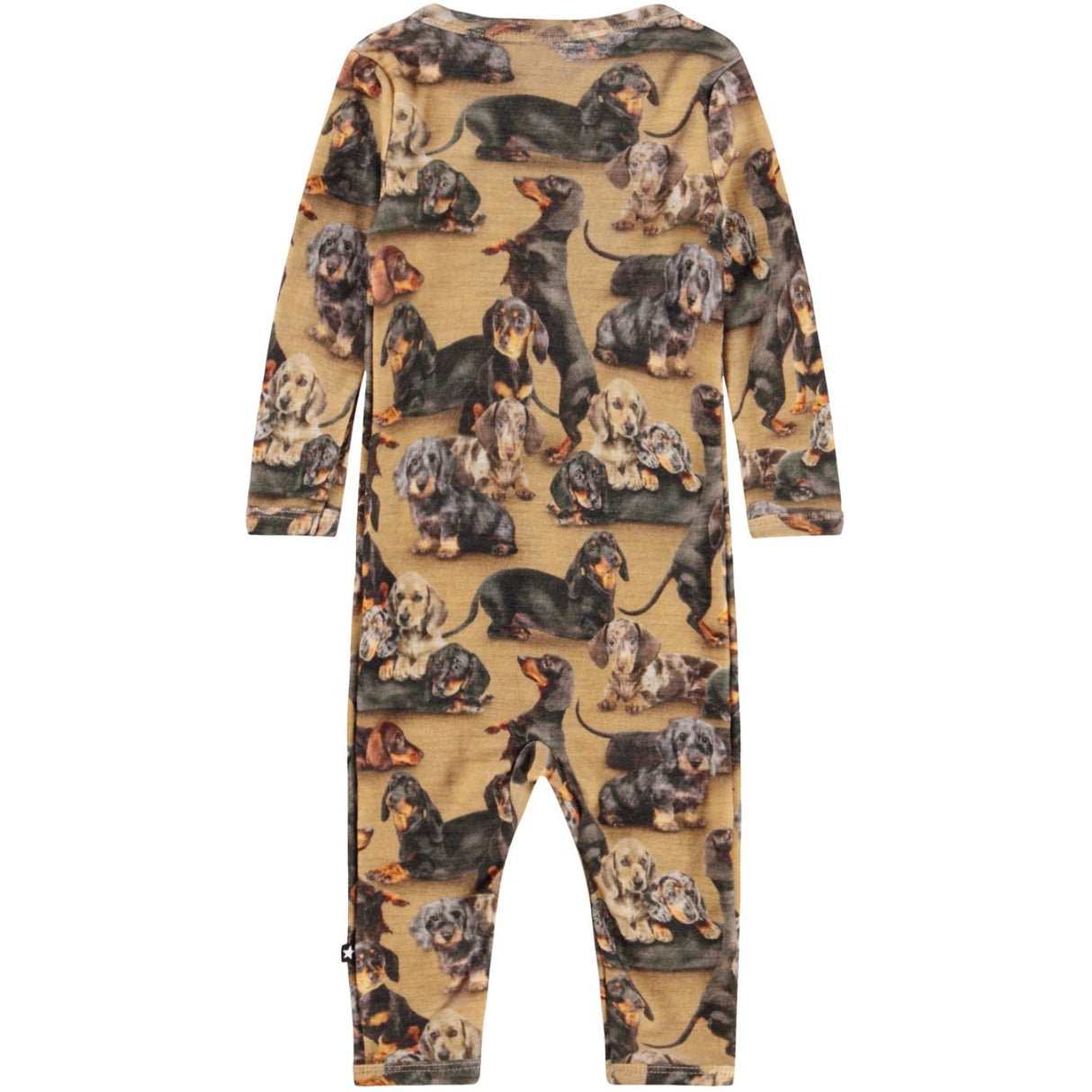 Molo Dachshunds Fahari Uld Bodysuits Jersey
