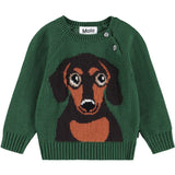 Molo Dachs Puppy Bless Jumpers