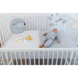 tiSsi® White Laquer Hajo Barneseng Massiv Bøg