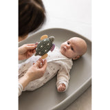 Sebra Turbo The Turtle Aktivitetsrangle Med Spejl