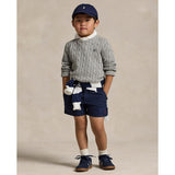 Polo Ralph Lauren Andover Heather Boy Pullover