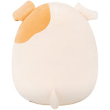 Squishmallows Brock Bulldog 30 Cm P24