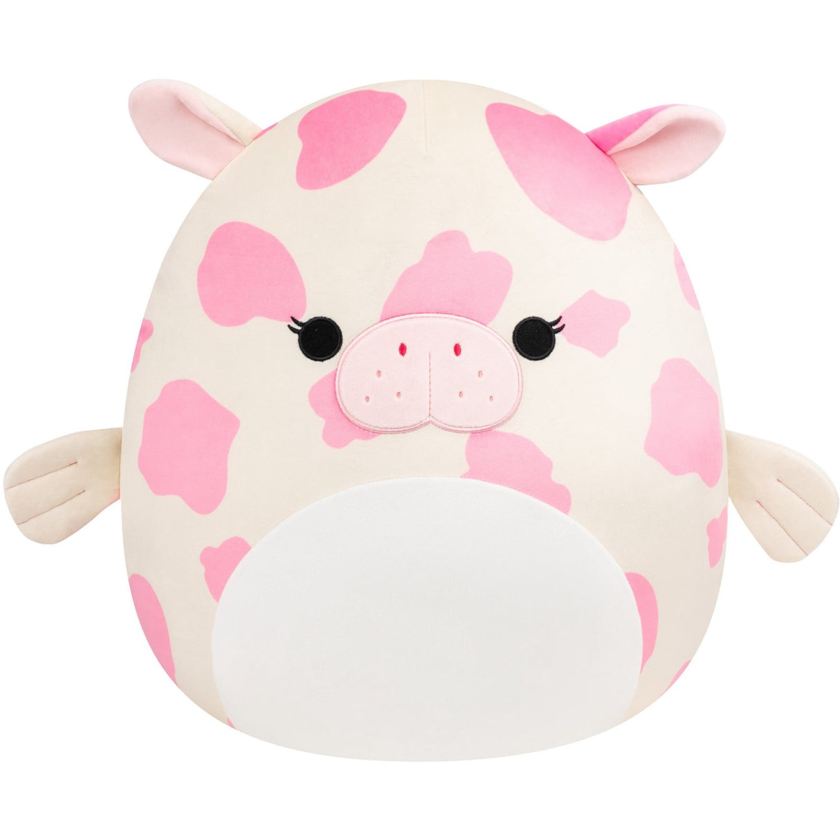 Squishmallows Mondy Sea Cow 40 Cm P24