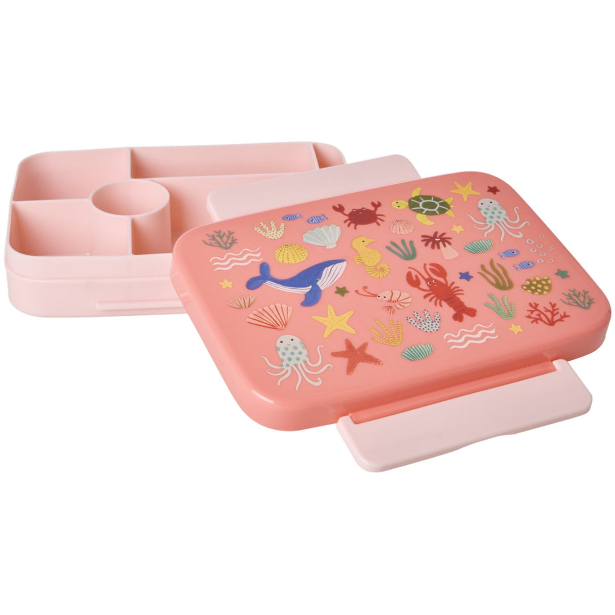 Rice Coral Ocean Print Plastik Madkasse Med 6 Rum