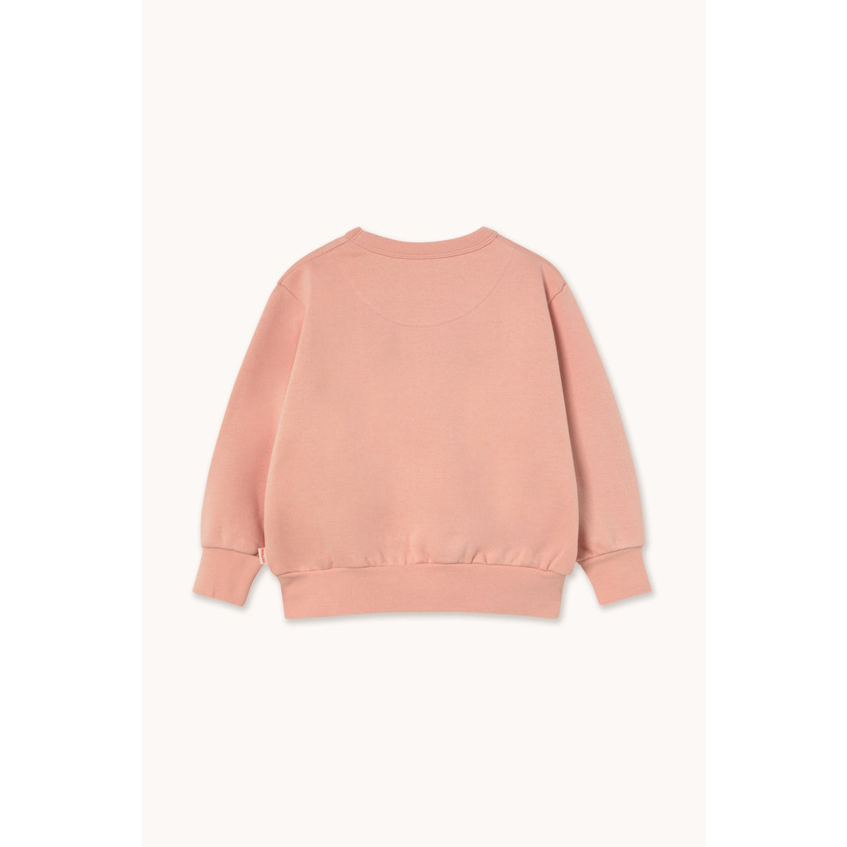 TinyCottons Wild Rose Walk Graphic Sweatshirt