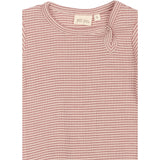 Petit Piao Nostalgic Rose/Dark Off White PPDante Body L/S Merino Uld Striped