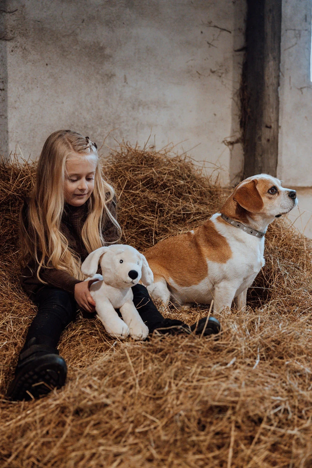 by Astrup Plyshund Med Hvalpe