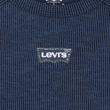 Levi's Big Dipper Farve Block Raglan Top