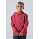 Levi's Cardinal Mini Batwing Pull Over Hættetrøje