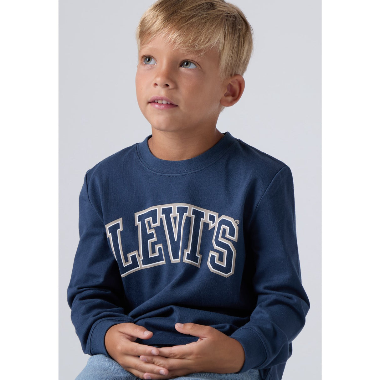 Levi's Big Dipper Collegiate Ls Tee