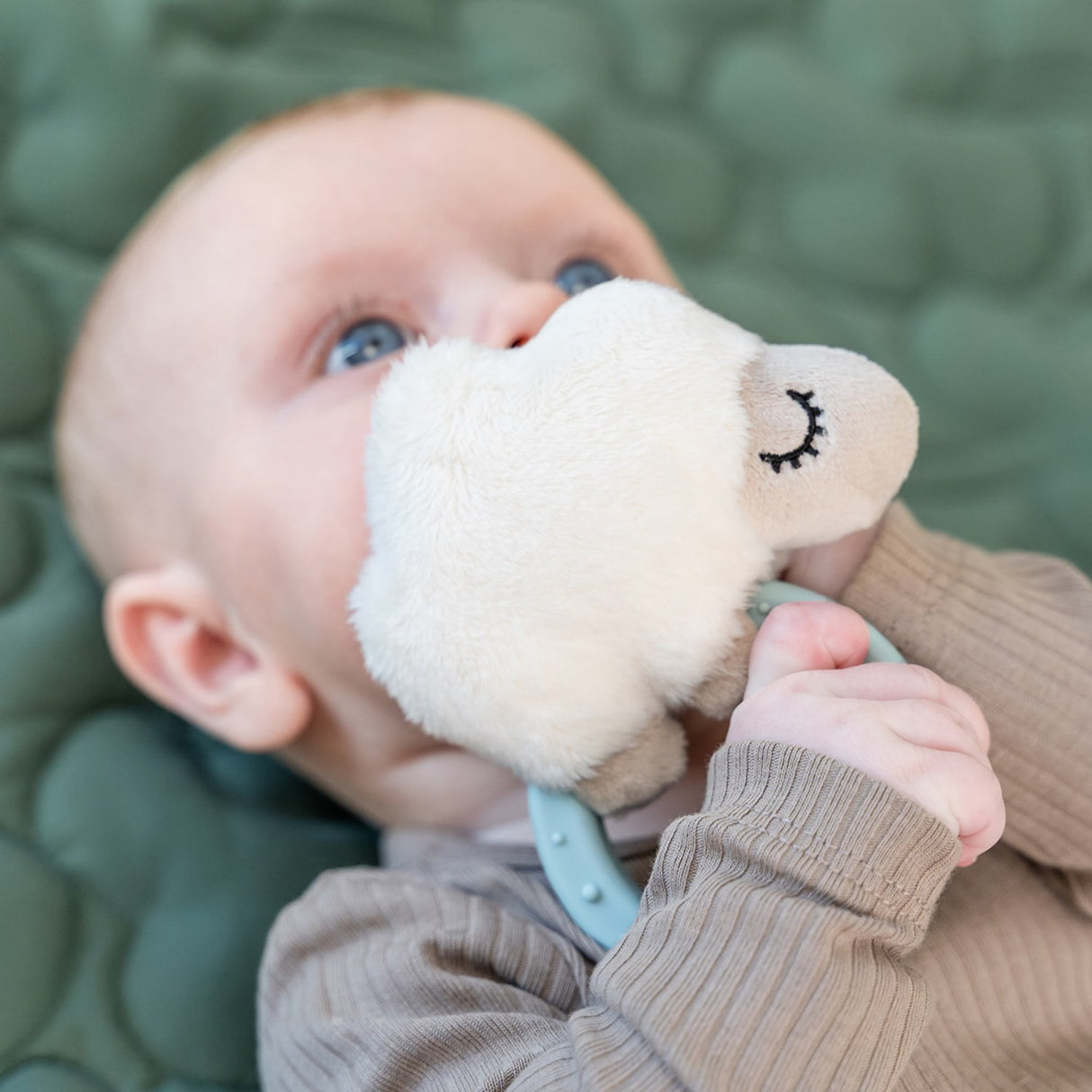 DonebyDeer Blue Sanserangle Med Bidering Sheepy