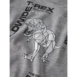 Name It Grey Melange Nmmbryso Ls Nreg Top Box