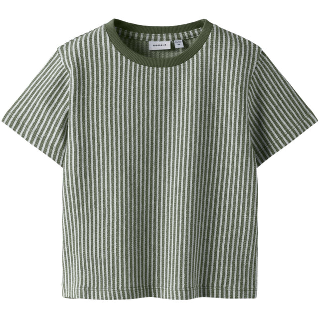 Name It Olivine Nmmhans Ss Nreg Top Pb