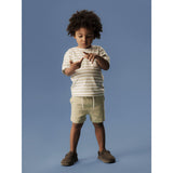 Name It Swamp Nmmjesper Ss Nreg Top Box Pb