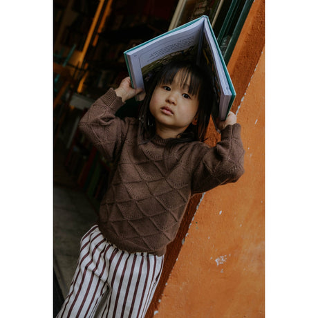 Fliink Coffee Bean Emily Strik Pullover