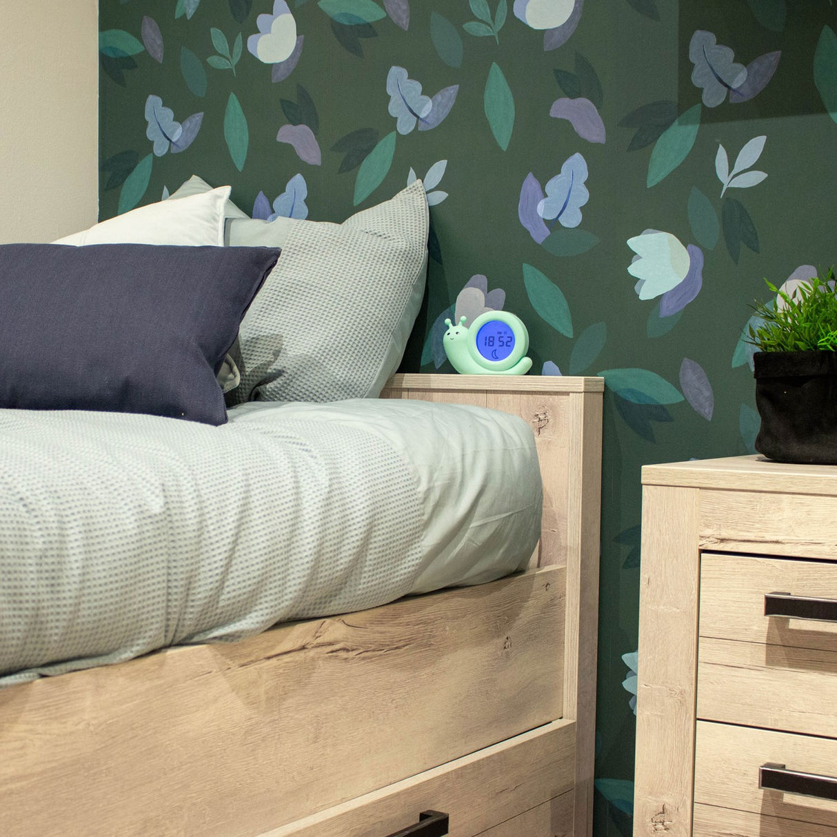 Alecto Green Søvntræner, Natlys og Alarm