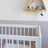 Alecto Wifi Babyfoon