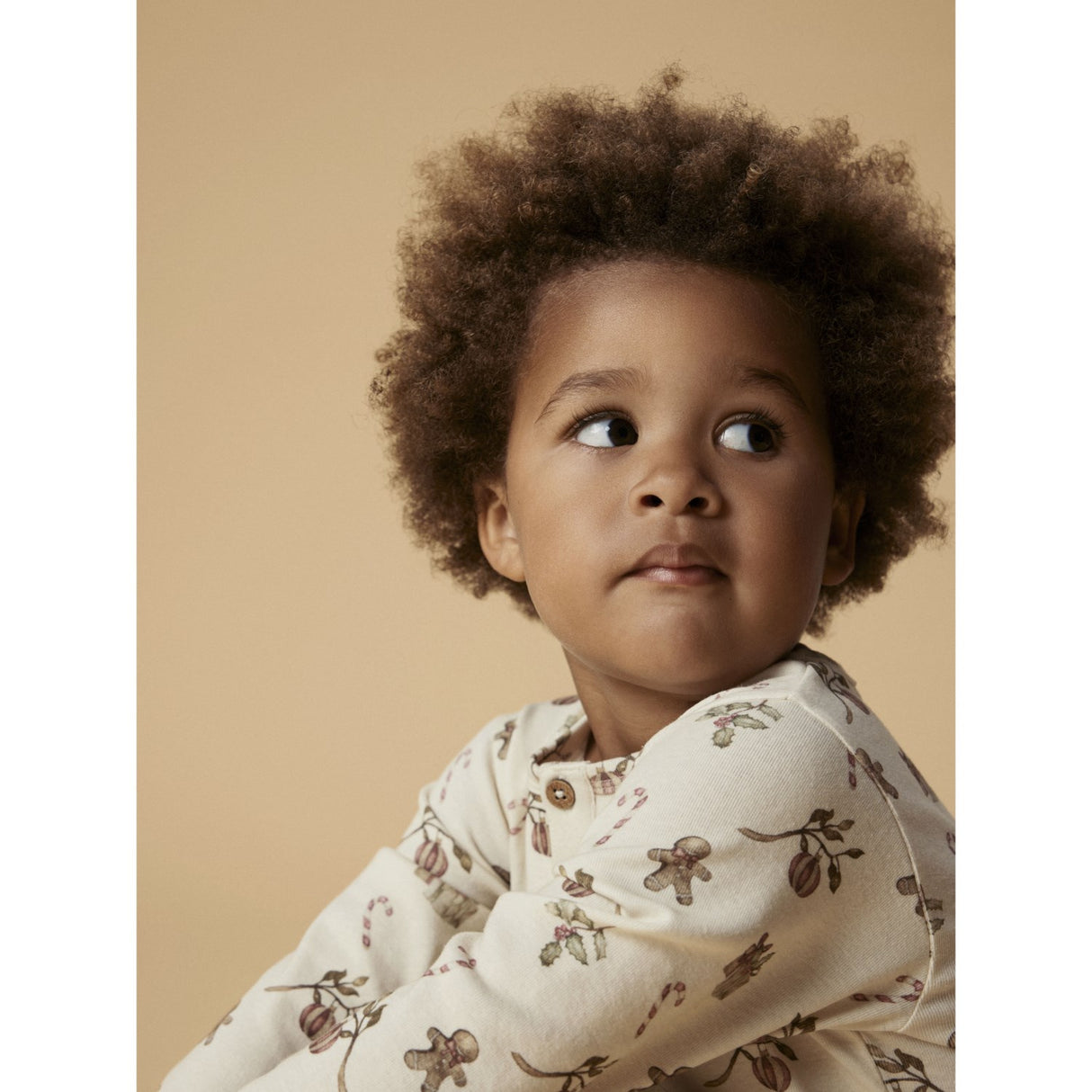 Lil’Atelier Jule Nattøj sæt Turtledove Christmas GIT Ls