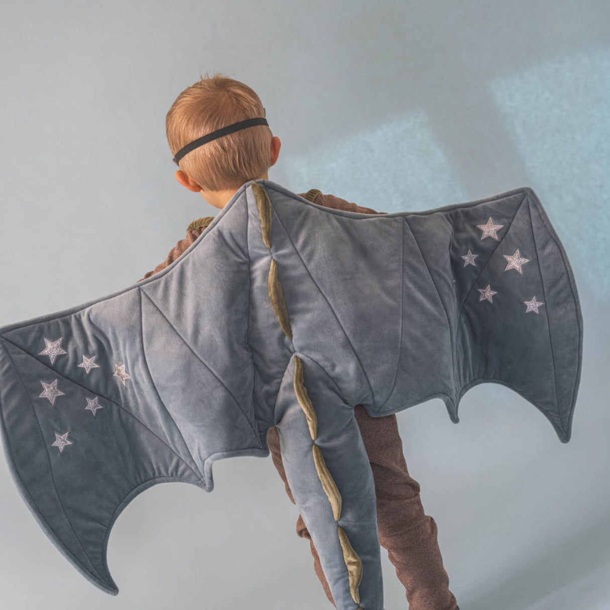 That's Mine Citadel Wilmer Dragon Sæt