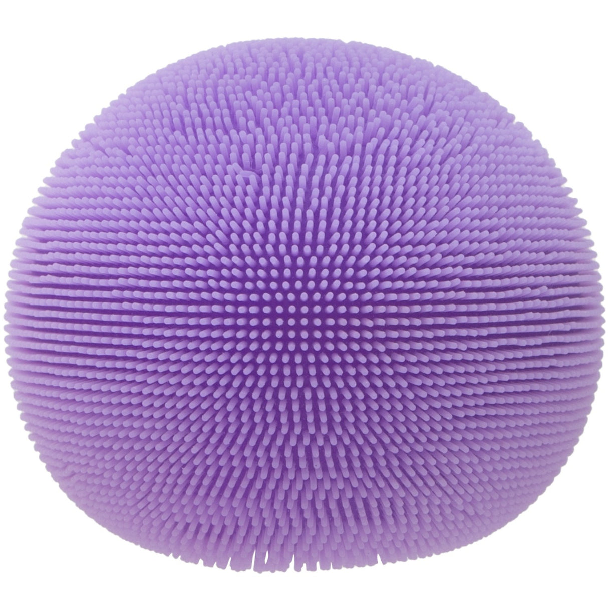 NeeDoh Fuzz Bold Classic 5 Asst. CDU