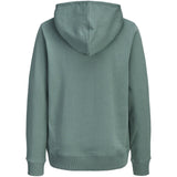 Jack & Jones Junior Mineral Blue Jjcollege Logo Sweat Hætte Jnr