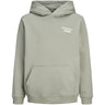 Jack & Jones Junior Seagrass Jornorrebro Typo Back Sweat Hætte Sn Jnr