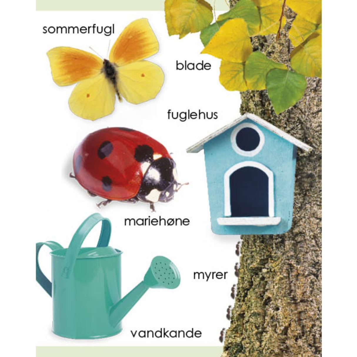 Forlaget Tukan Kigge-Pege-Snakke: Ord