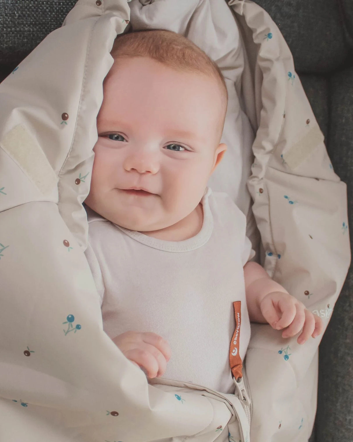 Easygrow Berry Blue Mysig Kørepose