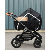 Easygrow Black Myggenet