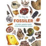 Forlaget Bolden Min Bog Om Fossiler