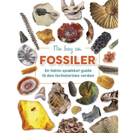 Forlaget Bolden Min Bog Om Fossiler