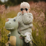 Find that Hippo Hoppe-Dyr - Dexter Dino