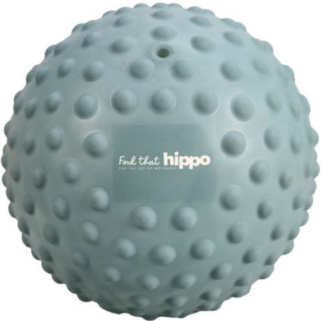 Find that Hippo Stor Sansebold - 1 Stk. Pakke, Farve Weldon Blue