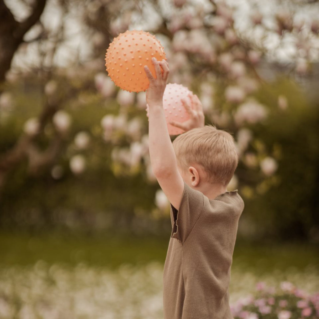 Find that Hippo Sanse-Bolde - Sæt Med 2 Stk., Farver Buff & Rosy Brown