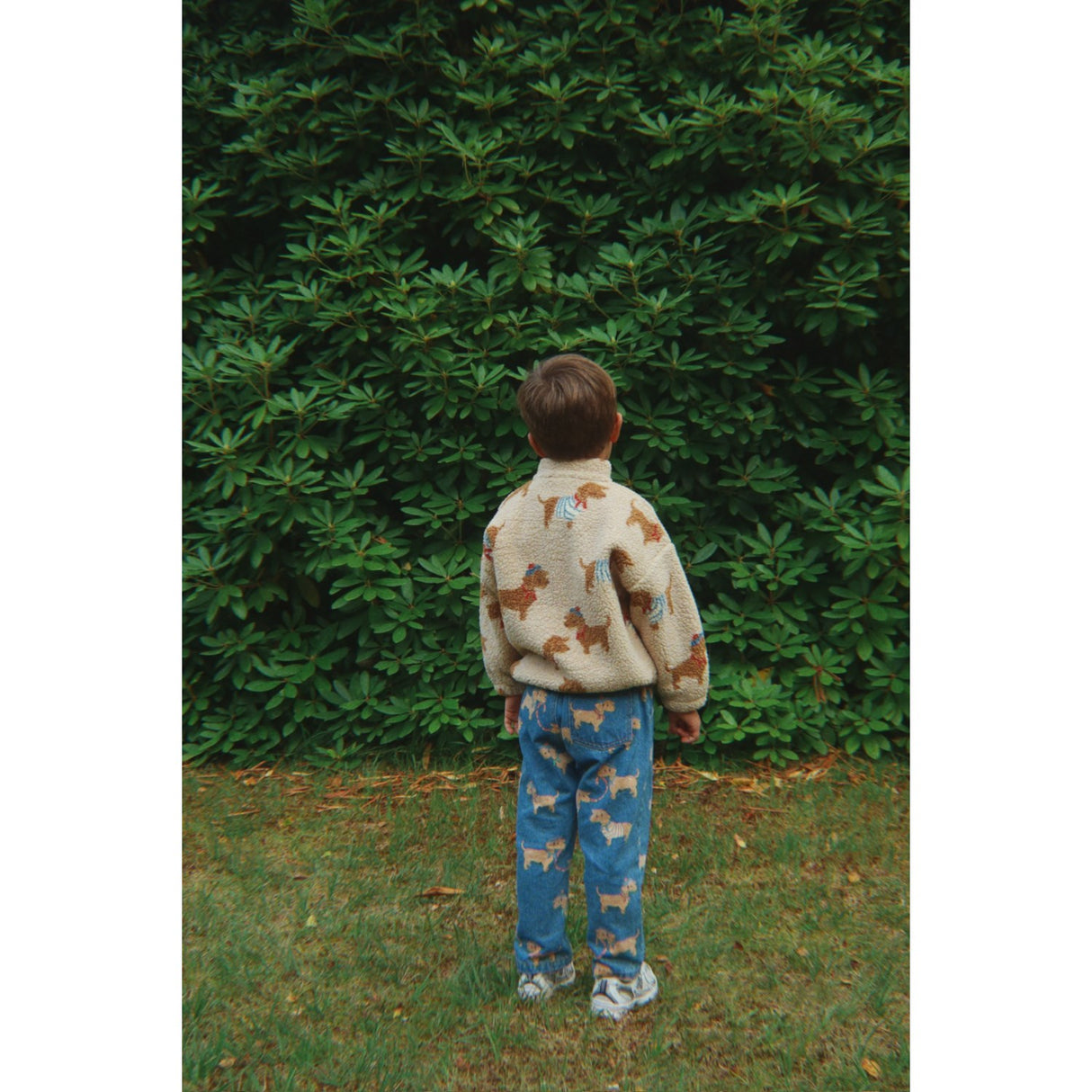 Konges Sløjd Bassotto Jody Bamse Jakke Grs