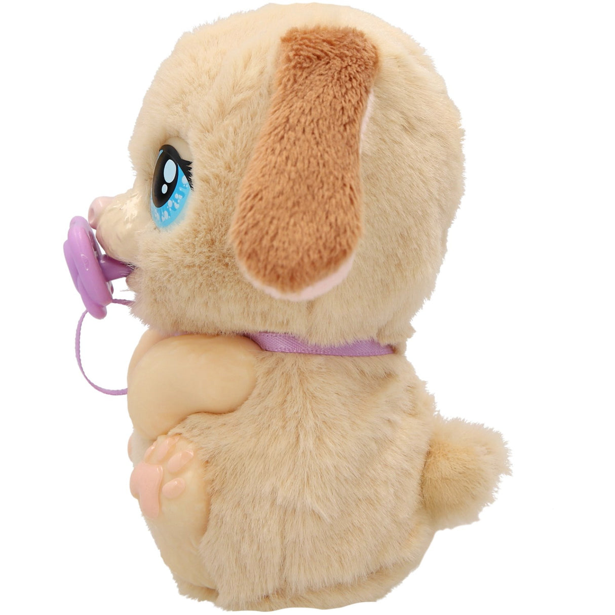 Baby Paws Just Born Hvalp