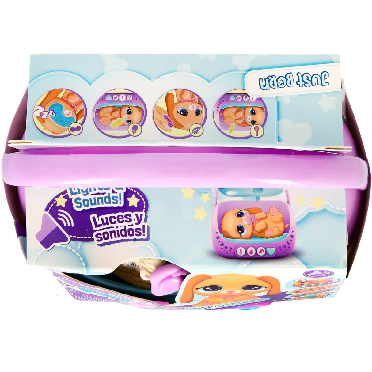 Baby Paws Just Born Hvalp