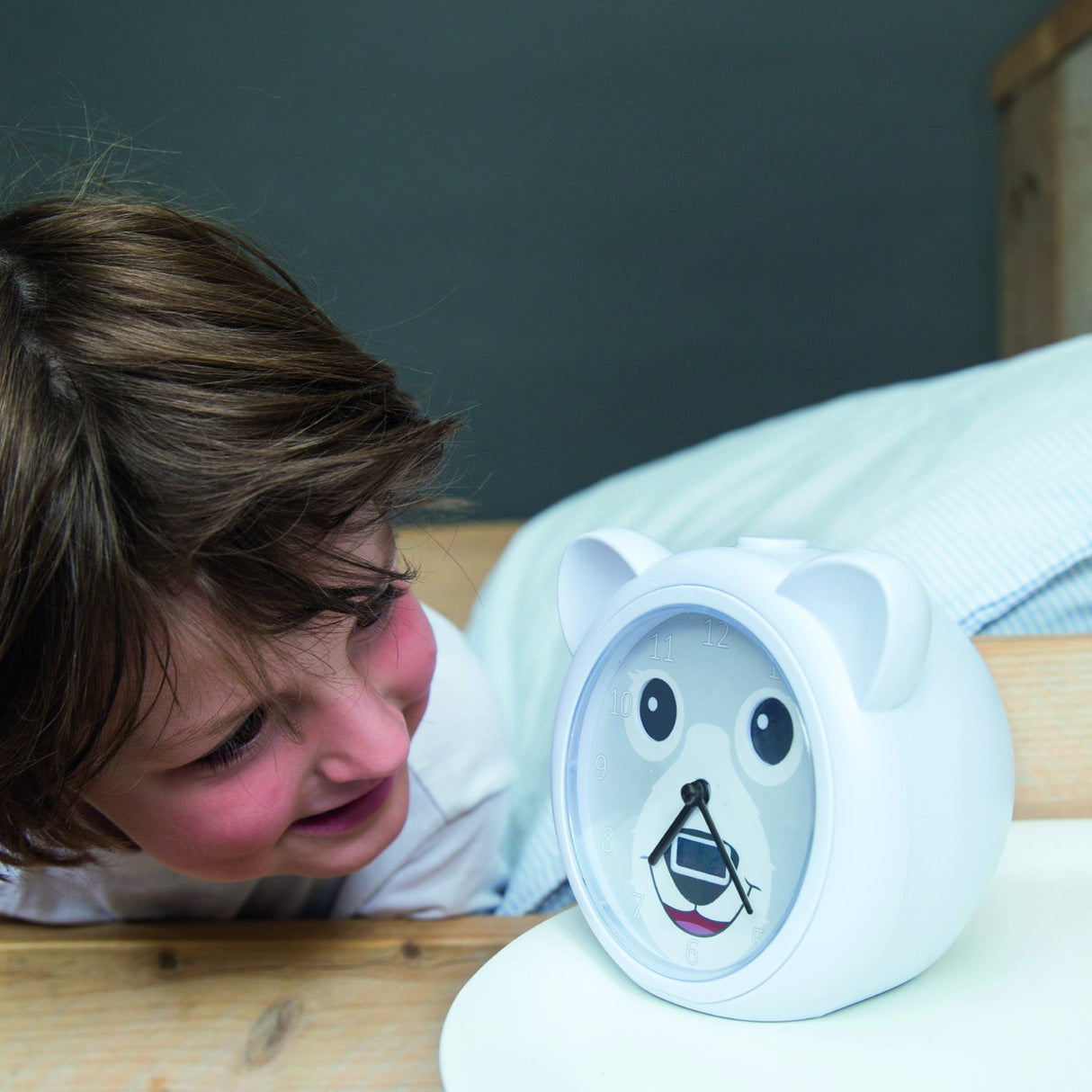 Zazu Grey Bobby The Bjørn Søvntræner