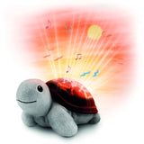 Zazu Brown Tim The Skildpadde Projector