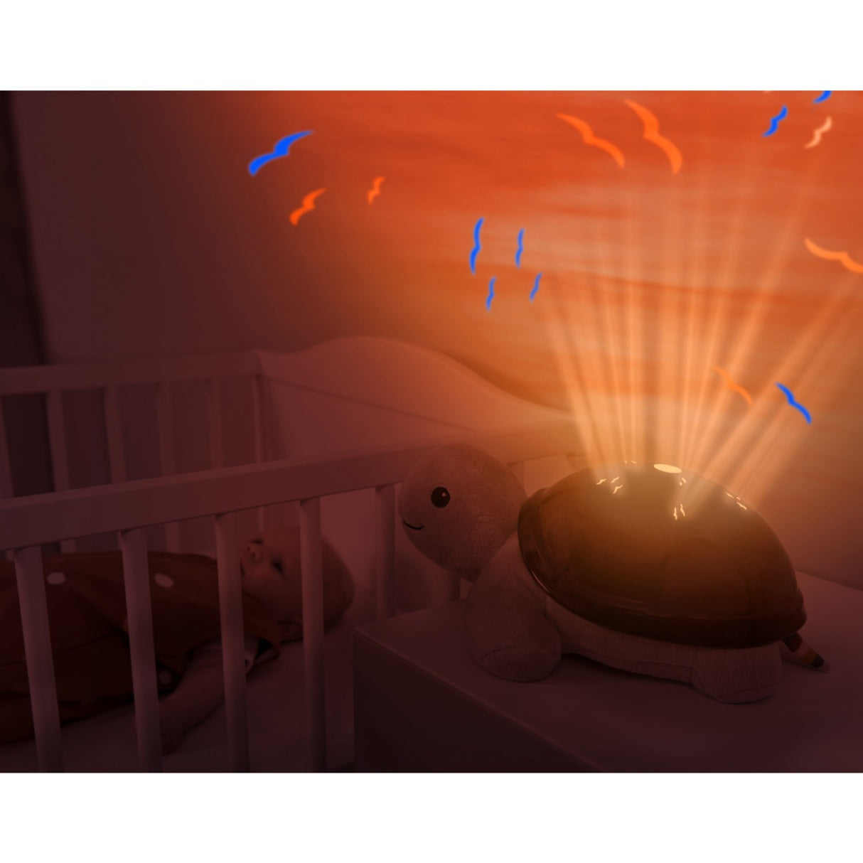 Zazu Brown Tim The Skildpadde Projector