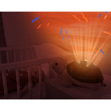 Zazu Brown Tim The Skildpadde Projector