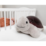 Zazu Brown Tim The Skildpadde Projector