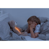 Zazu Brown Brody The Bjørn Søvntræner