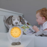 Zazu Brown Davy The Dog Søvntræner