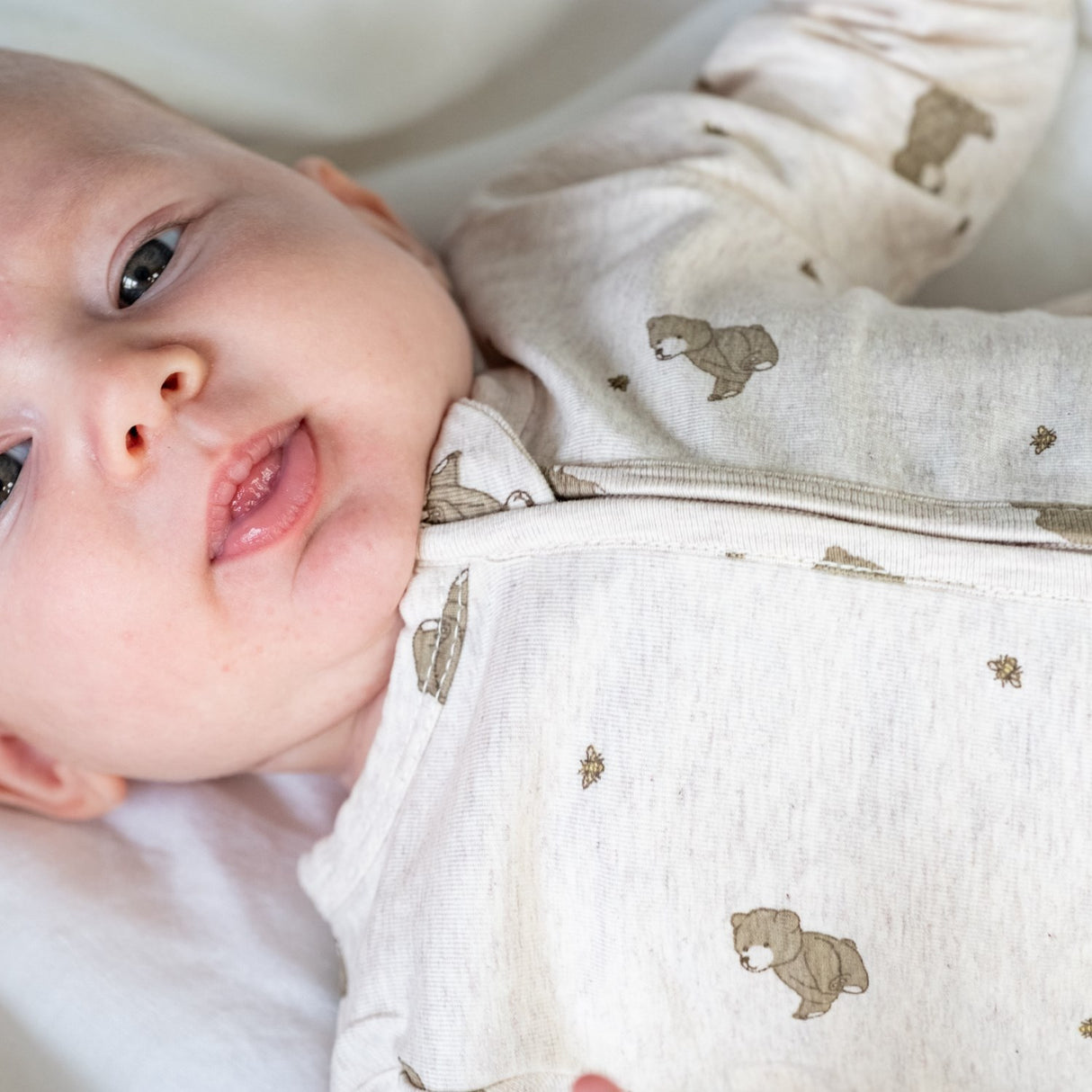 That's Mine Bees and Bears Mathie Heldragt