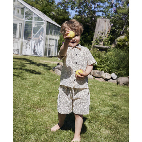 Fliink Coffee Bean / Sandshell Elmo Shorts