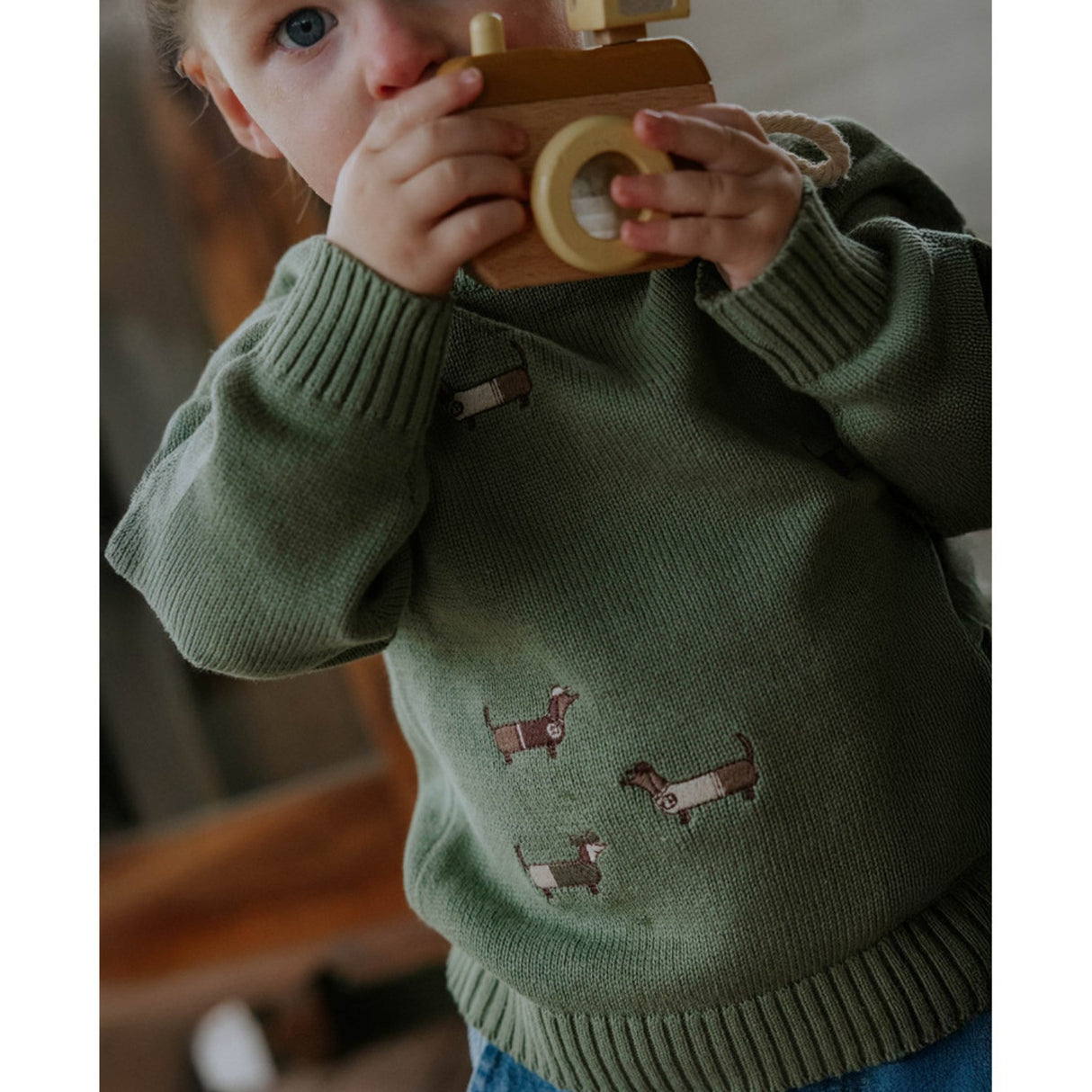 Fliink Hedge Green Mahdi Dog Pullover