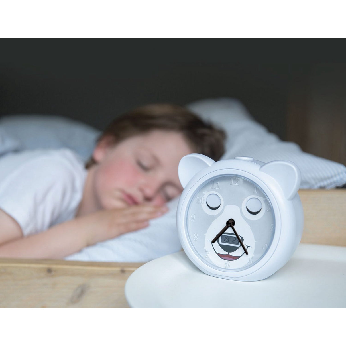 Zazu Grey Bobby The Bjørn Søvntræner