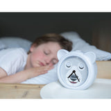 Zazu Grey Bobby The Bjørn Søvntræner