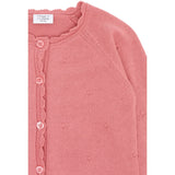 Hust & Claire Sorbet Cilja Pointelle